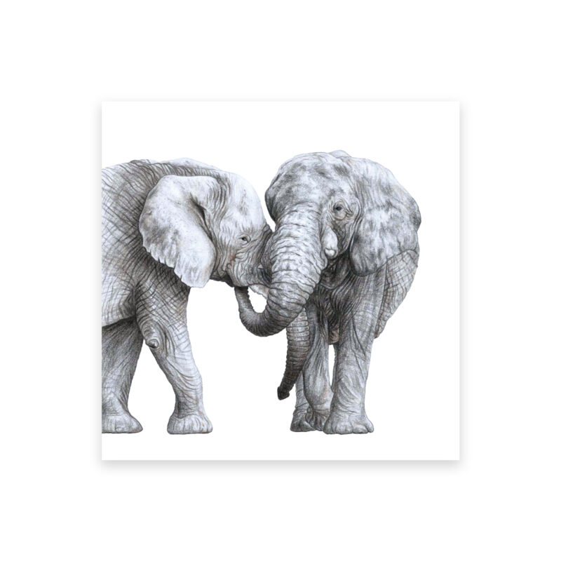 elephant card Oh Bear Studio