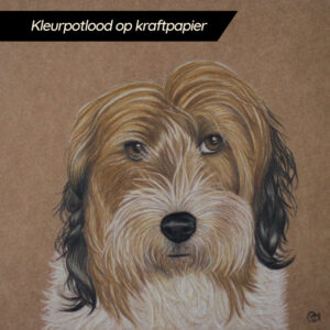 kleurpotloodtekening op kraftpapier van hondje