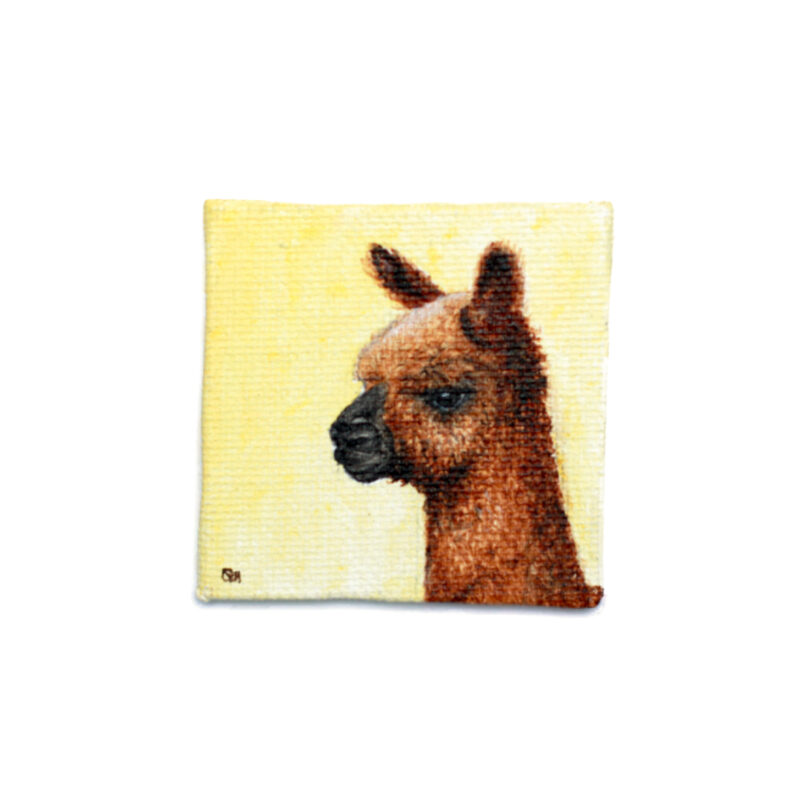 alpaca acrylverf