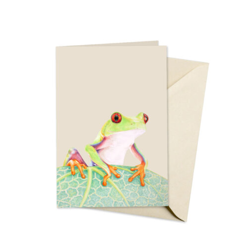 beige kaart met afbeelding van een handgetekende boomkikker die op een blad zit. De kaart ligt op een beigekleurige envelop