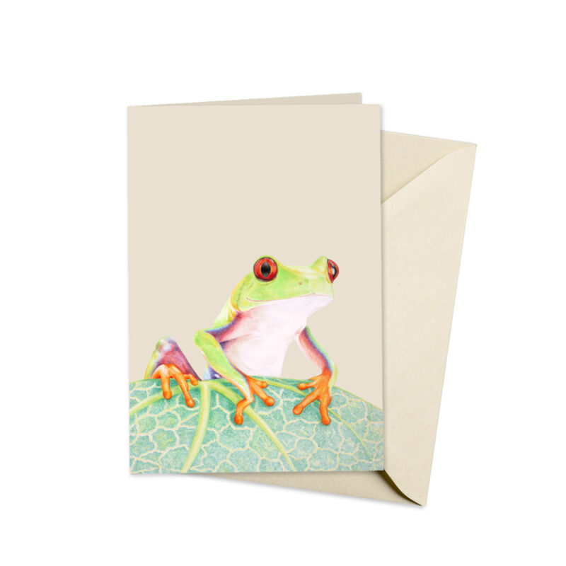 beige kaart met afbeelding van een handgetekende boomkikker die op een blad zit. De kaart ligt op een beigekleurige envelop